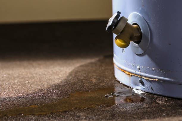 Best Water damage mitigation services  in Quincy, CA