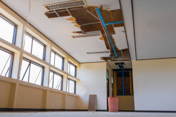 Best Carpet water damage restoration  in Quincy, CA