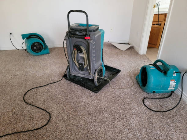 Sewage cleanup and water damage restoration in Quincy, CA