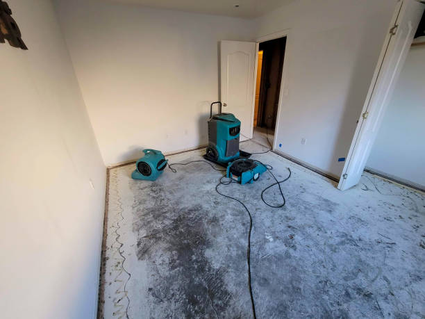 Best Sewage cleanup and water damage restoration  in Quincy, CA