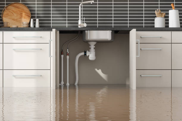 Best Mold removal after water damage  in Quincy, CA