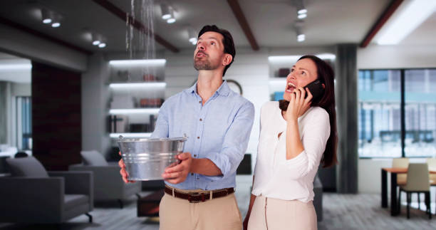 Trusted Quincy, CA Water damage restoration Experts